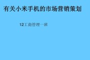 小米营销策略分析(小米营销策略分析论文3000字)