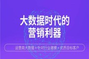 大数据精准营销平台(大数据精准营销平台SaaS)