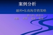 市场营销案例分析报告(市场营销案例分析报告5000字)