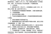 网络营销策划书(网络营销策划书实训报告心得)