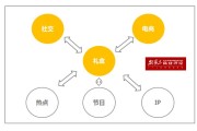 ip营销(ip营销成功案例)