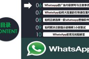 whatsapp营销软件(whatsapp软件怎么用)