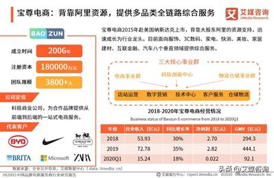 电商营销公司
:国内有哪些知名的电商代运营企业？