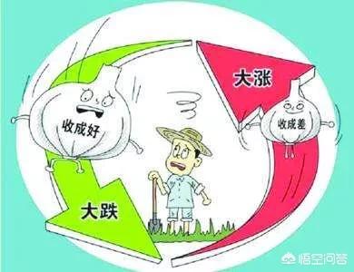 复合肥营销策划
:化肥销售淡季不淡旺季不旺，厂家和经销商应当如何破局？