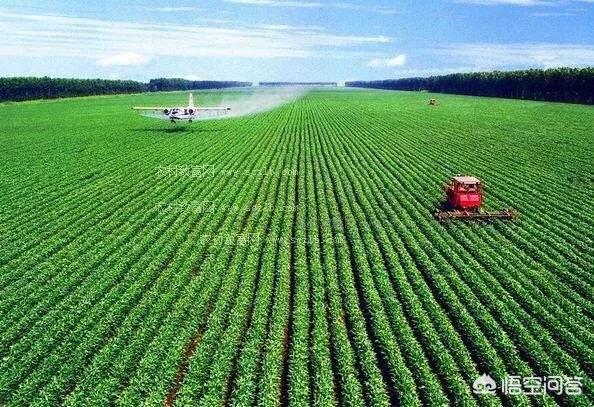 复合肥营销策划
:化肥销售淡季不淡旺季不旺，厂家和经销商应当如何破局？