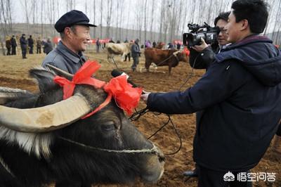 重庆奥弗斯网络营销
:如何做农村电商平台？我们这边有很多水果，如何增加销售渠道？