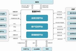 dms营销系统(DMS营销系统324版本)